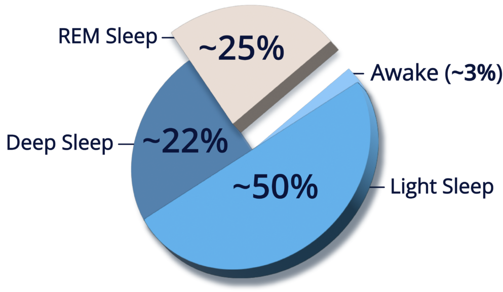 Percentage van tijd doorgebracht in REM-slaap en NREM-slaap
