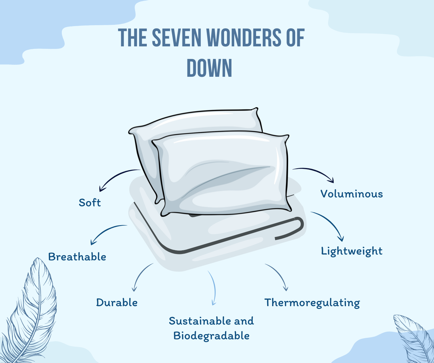 Seven wonders of down illustration that shows the main seven benefits of down