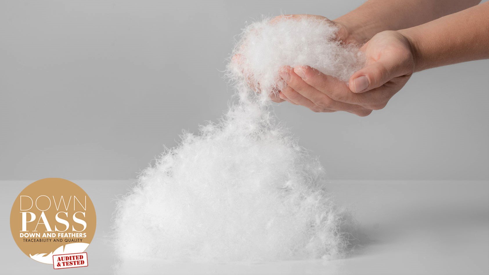 100% pure Franse eendendons