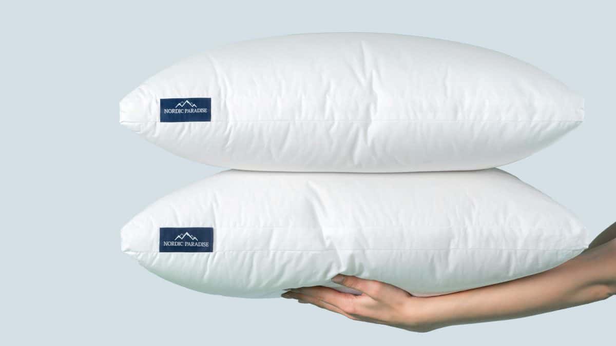 Dual Comfort Down Pillow Nordic Paradise Best Down Pillow
